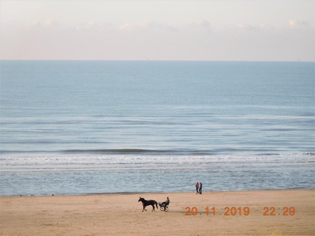 Strandhuis Egmond aan Zee Εξωτερικό φωτογραφία